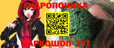 прущие крисы Аша