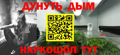 mdpv Ачхой-Мартан