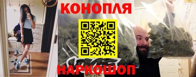 прущие крисы Аша