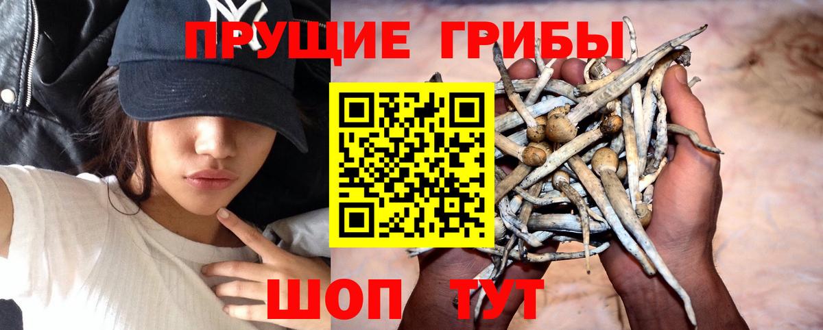 Галлюциногенные грибы MAGIC MUSHROOMS  Псилоцибиновые грибы GOLDEN TEACHER  Вход с VPN  дарнет шоп  Курчатов 